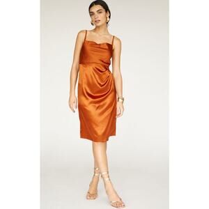 Nikasha Ruched Mini Dress Size 10